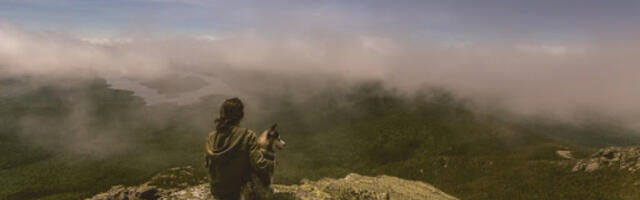 NEDELJNI HOROSKOP Blizanci će imati ozbiljnu svađu sa partnerom, Škorpije će rešiti problem koji ih odavno muči, Vodolijama će se sve okrenuti naopačke