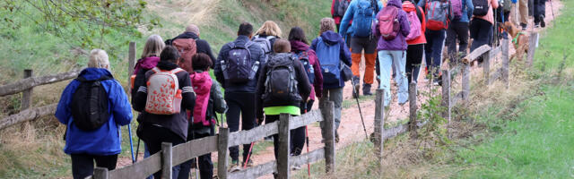 Više od 13.000 ljudi na Danu pešačenja širom Srbije