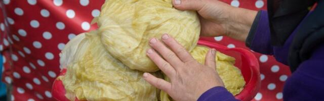 Pojavila se pena u buretu? Ovako ćete zaustaviti kvarenje kiselog kupusa - trajaće vam do leta