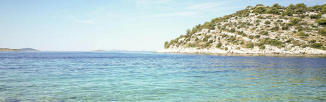 Opasni predator uslikan u Jadranskom moru, širi se panika: “Gde je ona, tu trava ne raste”