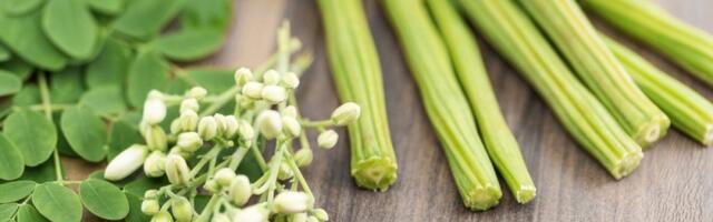 Biljka koja ima više kalcijuma nego mleko: Prirodna bomba zdravlja - jedna kašičica menja sve