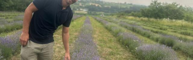 Mladi Bojan iz Milićevaca zamenio šljive lavandom i sada razvija poseban proizvod: Hrvati već zainteresovani