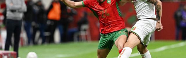 CRVENA ZVEZDA SKLAPA PAKLEN TIM ZA ATAK NA LIGU ŠAMPIONA! Stanković pronašao novog komandanta odbrane - stiže na leto?