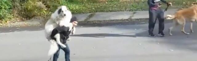 KADAR NEVERA! Vlasnik je nosio psa na ulici, a svi su se pitali SAMO JEDNO