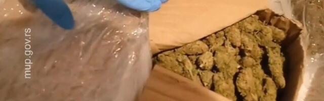 Pao diler iz Negotina! Policija pronašla marihuanu, semenke i ulje kanabisa