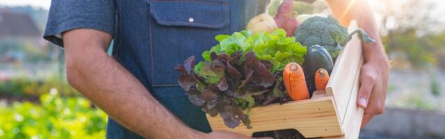 Vetar u leđa privatnicima: Država spremna da pomogne privrednicima koji žele da ulažu u prehrambenu industriju