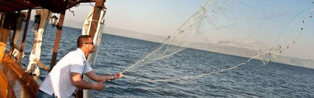 Nemilosrdni predator hara Jadranskim morem: Proždire ribe koje ljudi obožavaju!