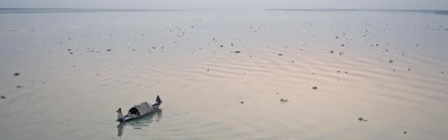 Kakvo je ovo čudo u Srbiji: Kad su ljudi videli šta je izronilo iz vode, nisu mogli da veruju svojim očima (FOTO)