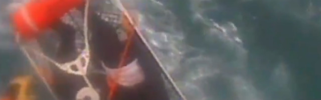 Surfer pretrpeo teške povrede posle ujeda ajkule u Južnoj Kaliforniji (VIDEO)