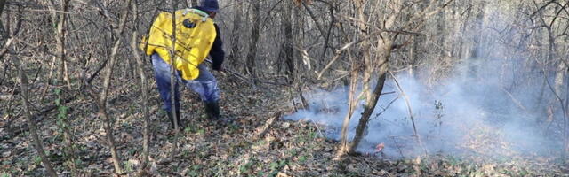 Kazne za izazivanje požara na otvorenom prostoru i do milion dinara