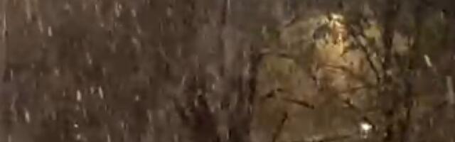 PADA SNEG U BEOGRADU! Zabelela se prestonica (VIDEO)