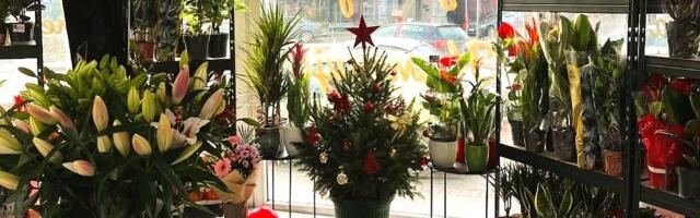 “Gradsko zelenilo“ ponovo otvorilo cvećaru “Kamelija“ u centru grada