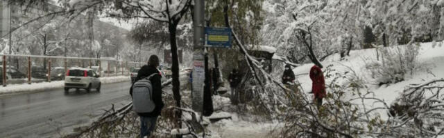 HOROR! Stablo ubilo ženu - Hitno hospitalozovana, ali nije izdržala!