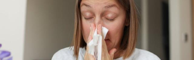 Prolećni polen napada: Preživete sezonu alergija bez neprestane kijavice i svraba očiju