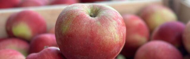 Jabuka se ne ljušti, grešite: Tajna iz kore koju svi odbacujete, bukvalno jede i topi holesterol