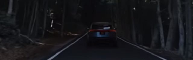 Zaljubićete se garantovano u ovu Japanku! (VIDEO)