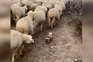 Први дан на послу
