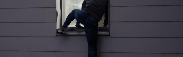 LOPOVI S FANTOMKAMA POKRALI SUŠENU RIBU Ni slanina ni suvo meso nisu bili pošteđeni