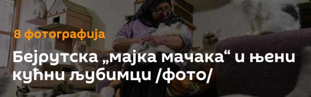 Бејрутска „мајка мачака“ и њени кућни љубимци /фото/