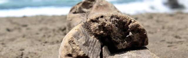 Izložba Ljiljane Kalem u Američkom kutku