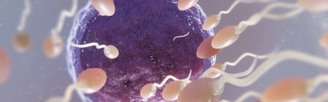 Sićušni roboti, kao pomoć, u borbi protiv neplodnosti: Kako “spermboti“ pomažu spermatozoidima da stignu do cilja