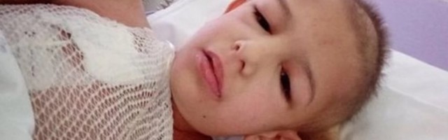 DOBRI LJUDI, JAVITE SE BRZO! Malom Davidu (8) hitno potrebni trombociti! PITANJE ŽIVOTA ILI SMRTI!