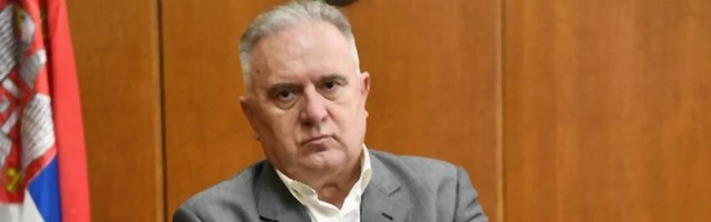 Ministaru bez srama Dmitroviću opet žene krive za pad nataliteta: Šta još da im damo da rode treće dete