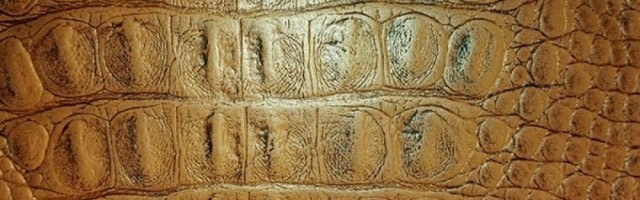 Priča dobila neočekivani obrt