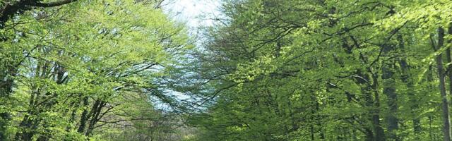 Sve na jednom mestu za boravak u prirodi: Nova aplikacija Via Normale dostupna korisnicima u Srbiji