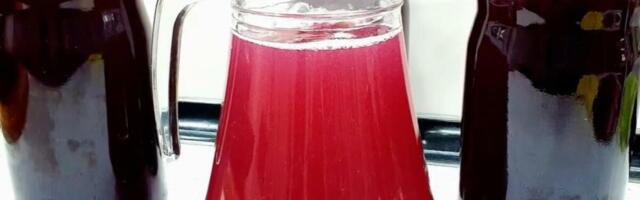 NAPITAK KOJI JE SAVEZNIK SRBA U VREME VIRUSA! Šta radi 1 čaša soka dnevno ne mogu ni 3 STRUČNJAKA, PROBAJTE GA!