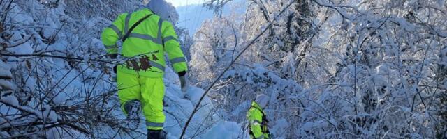 Monarhisti: Prekidi struje posledica nesposobnosti vlasti