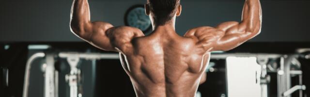 Povećajte leđnu lepezu za samo 4 minuta