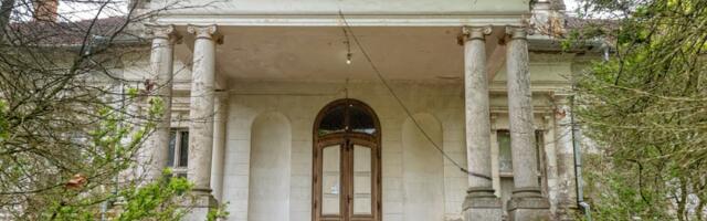 Dvorac porodice Dunđerski na prodaju (FOTO)