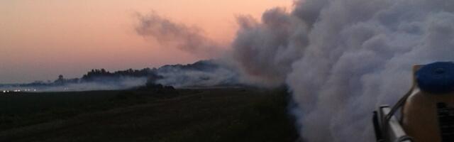 JKP "Gradska čistoća" počela sa tretmanima suzbijanja larvi komaraca