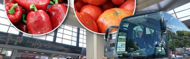 SRBI ZARATILI ZBOG PRTLJAGA! Malo falilo da se dohvate za gušu! Prozvani PAPRIKARI i PARADAJZ TURISTI