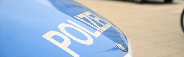 Policija zatvorila auto-put da bi spasila povređenog psa