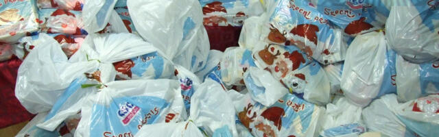 Grad Leskovac otpočinje u subotu podelu novogodišnjih paketića za najmlađe