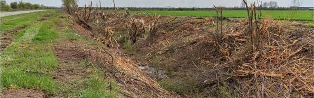 ŠTA JE OVO OSVANULO PORED PUTA? Jeziv prizor kod Subotice! U kanalu leži mrtva životinja kojoj nije mesto u Srbiji, građani u panici i neverici! (UZNEMIRUJUĆI VIDEO)