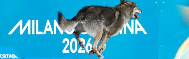 Zaslužio je olimpijsku medalju