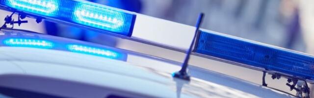 EPS oštećen za desetine miliona: Uhapšeno 7 lica, krali kablove