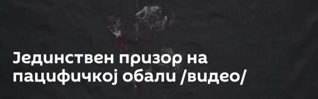 Јединствен призор на пацифичкој обали /видео/
