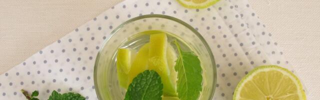 Sirup od nane i limuna, recept