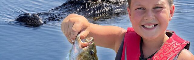 Dečak (11) ostao bez šake na pecenju sa ocem: Napao ga aligator dugačak preko 2,6 metara
