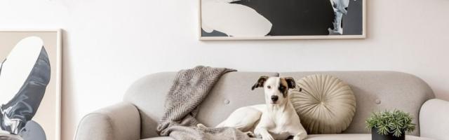 7 brzih feng shui saveta koji će poboljšati vaš život