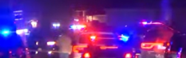 Onda se obratio nasledniku: "Sine, ubio sam dedu zbog interneta!"