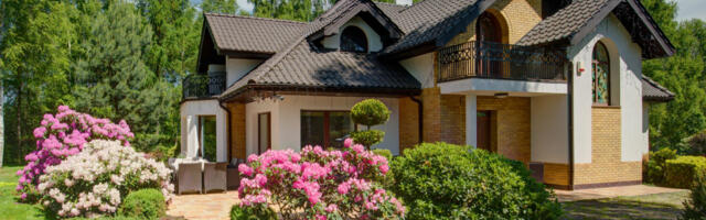 Transformacija male bašte u 5 jednostavnih koraka