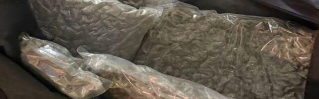 Uhapšen Nišlija, u stanu pronađeno 5 kilograma marihuane i oko 200 grama kokaina