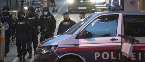 Poglavar Islamske zajednice S. Makedonije: Kukavička djela napadača