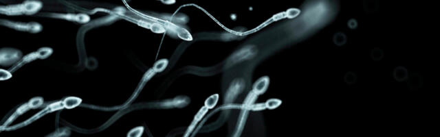 SKANDAL KOJI TRESE EVROPU: Donor preneo gen za rak na 197 dece – mutirana sperma stigla i u Srbiju!