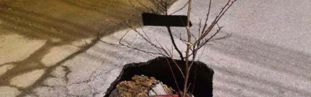 Opasnost u Kragujevcu! Krater nasred ulice se širi i uznemirava građane: Uplašeni za svoju bezbednost